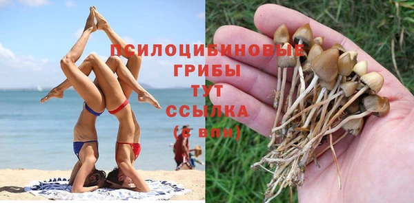 стафф Абинск