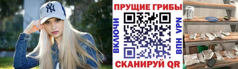 блэк спрут ссылка  Ачхой-Мартан  Галлюциногенные грибы мицелий  цена наркотик 