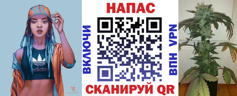 даркнет сайт Ачхой-Мартан Канабис план